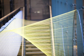 Kuvituskuva: SCIn kristallikukat