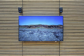 Image: Installation of Exhibition by Dana Neilson 'Closer to (my) Nature' 4-channel video. 11-19 minute loop. 2017