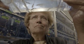 Photo of Prof. Nancy Hopkins holding up a jar with live fish.
