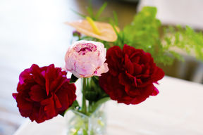 Flowers / Aalto University