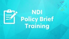 NDI-Policy-Brief-Training-2021