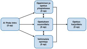 Pedagogisen koulutuksen rakenne