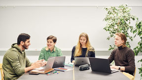 Group of student working together