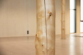 Lähikuva Pikku-Finlandia väistörakennuksen vaaleasta männyn rungosta