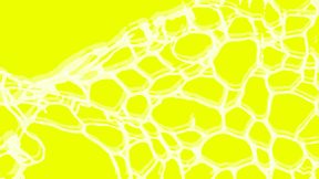 A web-like biomaterial on a bright substrate