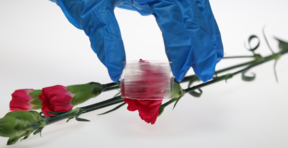 SUBSTAINABLE webpage, main image. Photo by Aalto University, Maija Vaara, Mithila Mohan