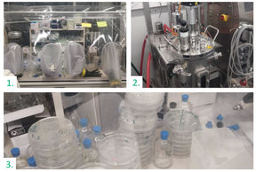 Anaerobic microbiology