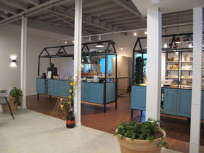 Kitchen in a communal housing