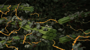 FinnCERES_INTERACT_SummerSchool