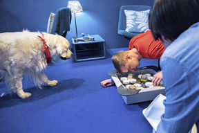 A dog and two researchers. Photo: Aalto University/Mikko Raskinen