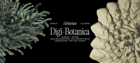 digi-botanica banner image-12.png