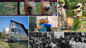 Photo collage of some of the actions funded by the Sustainability Action Booster grant