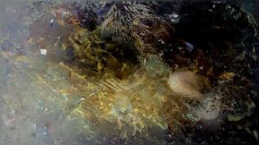 The image does not represent anyting, it has golden, brown, blue, black and turquoise under the see like structures.