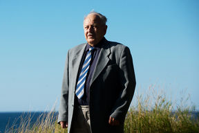 Professor Jaan Metsaveer