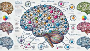 The image is a scientific illustration of a brain template, showcasing brain regions as nodes connected by various colored links