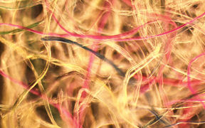 TexirC_WP3_main_image