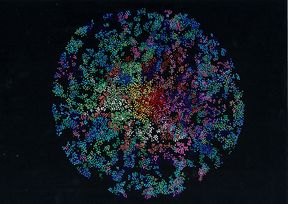 A stylized rendition of core-periphery, social foci and group identites.