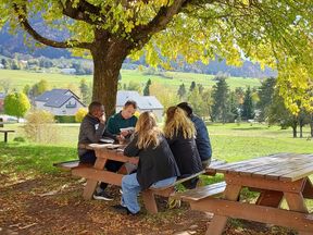 A group of people sit around a wooden picnic table under a large tree in a park with houses and hills in the background.