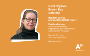 Poster for a Physics Seminar at Aalto University featuring Eveliina Peltola, on March 7 from 12-1 pm, with pizza served at 11:45 am.