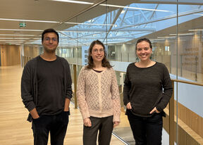 Three EDUCA postdocs, Dept. of Economics