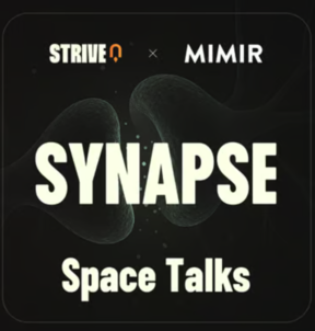 Synapse Space Talks by STRIVE & MIMIR