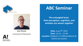 ABC Seminar - Luiz Pessoa