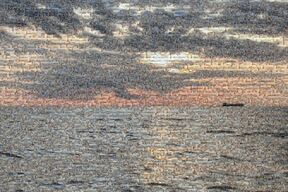 Pictures from the sea, Mia and Christian Elg