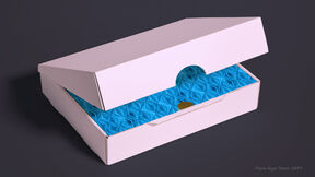 E-commerce package (Team SAPY, Pack-Age 2015) with a clean exterior and a bright, textured interior creating a surprising 
unboxing moment