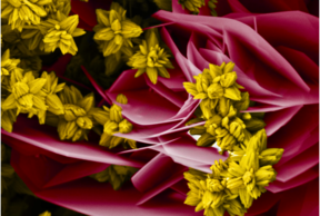 Sinkkioksidinano­­kukkia alumiininano­­levyjen välissä