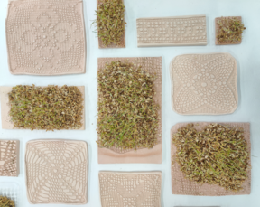 Various beige clay tiles with crochet textures and patches of dried grass arranged on a white surface.