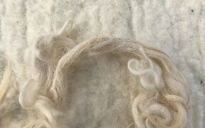 Close-up of a bundle of light-coloured wool fibres on a woollen fabric background.