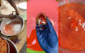 A collage of the process of dyeing with achiote, a fruit that yields orange colour. A blue-dyed hand is holding it while liquid is poured.
