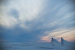 YUIMA NAKAZATO, GLACIER, March 2025, photographed in Hailuoto.