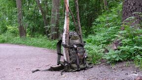Green hiking rucksack with sticks leaning on a forest path beside dense trees and plants