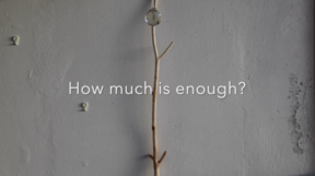 Thin branch on grey wall with glass sphere above text saying “How much is enough?”