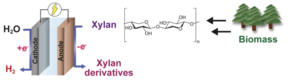 HYXYL graphical abstract