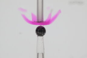 Hydrogel based gripper can be trained to pick up metal ball underwater. 