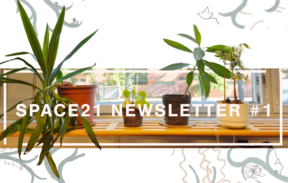Indoor green plants on a windowsill with text overlay: SPACE21 NEWSLETTER #1