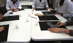 People in white lab coats drawing anatomical sketches on black paper around a white table