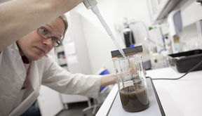 Toihan develops new laboratory-scale process solutions for industry needs.