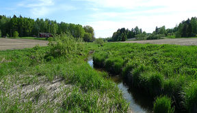Aalto University School of Engineering
