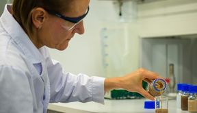 The research and utilisation of ball-like lignin particles  is still new, but the production is already possible in batches of several kilogrammes. That makes it possible to test them in different applications, says Professor Monika Österberg. Photo: Glen Forde/Materials Platform