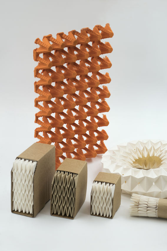 CoCea & Fold and Sustain packaging prototypes. Photo: Anastasia Ivanova