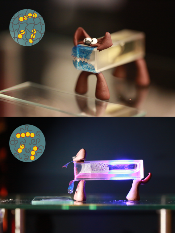 A model "Pavlov dog" made from the gel