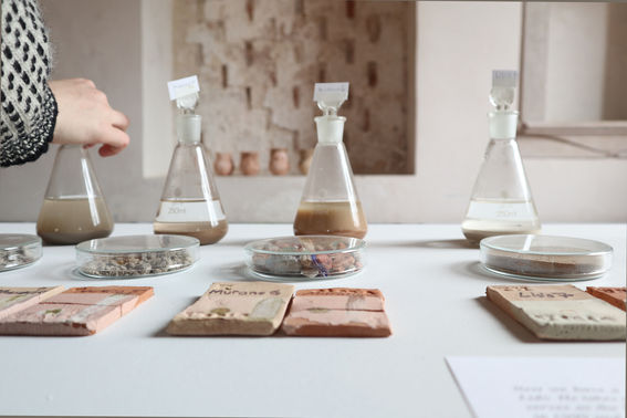 Detail from the exhibition set up at the Research Pavilion. Image: Tzuyu Chen