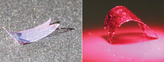 Polymer film that bends when light is shone on it