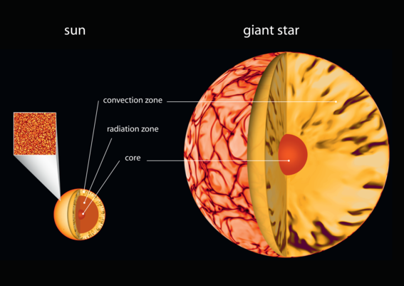 An illustration showing how stars consist of a core, a radiation zone and a convection zone. In giant stars, the convection zone is proportionately much larger.