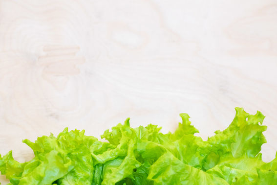 Salaatti kasvaa puisessa kasvihuoneessa, kuva: Mikko Raskinen. 