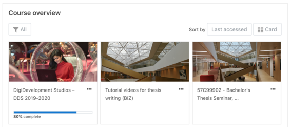 Progress bar: course overview