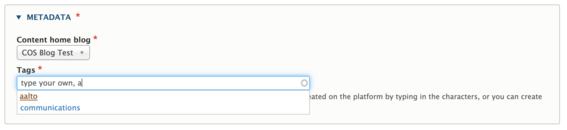 Screenshot of the metadata field on ourblogs.aalto.fi